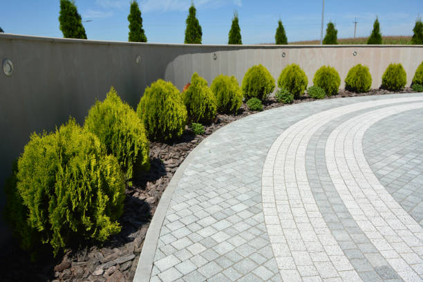 Best Driveway Paving Near Me  in Crandon Lakes, NJ